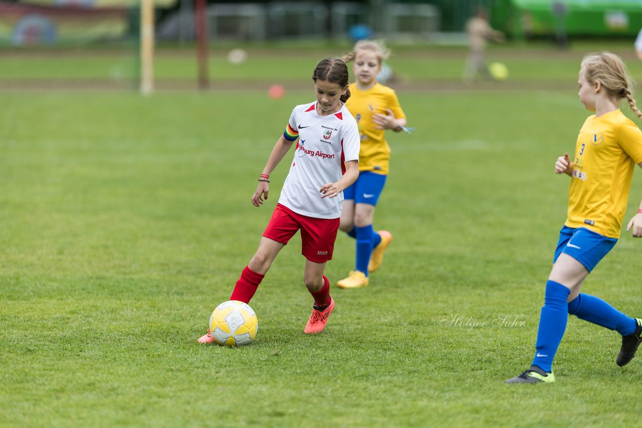 Bild 468 - Loewinnen Cup